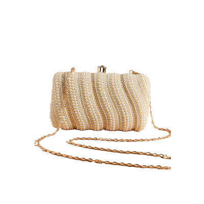 Raffinement Radieux , Un Mélange Harmonieux de Broderies de Perles dans un Design de Pochette Exclus